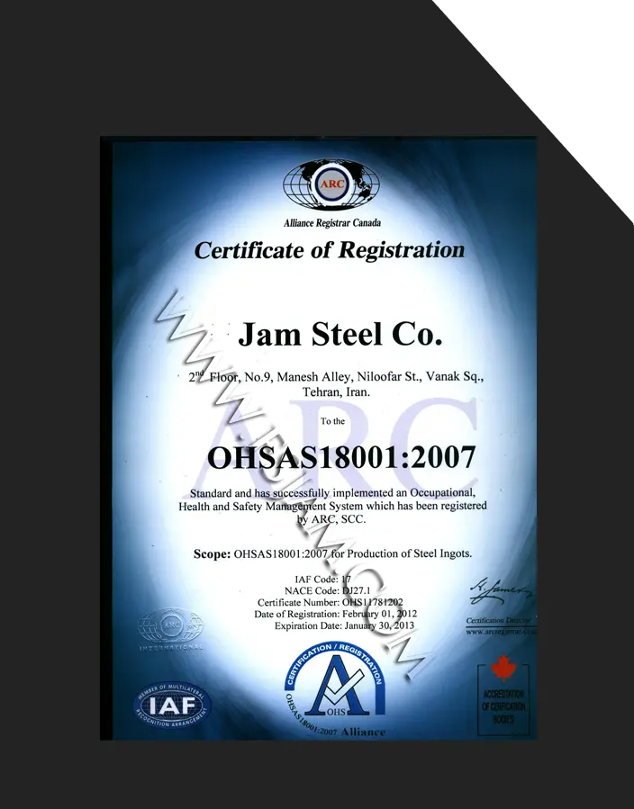 OHSAS 18001:2007 / ISO 45001
